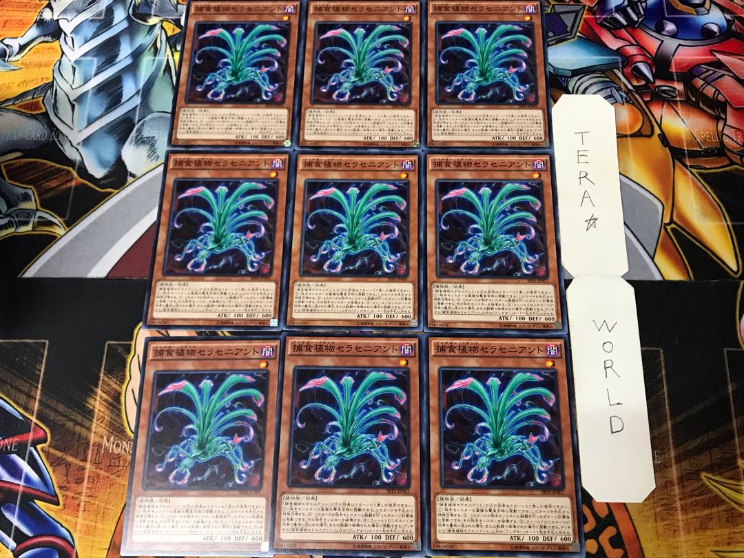 Predaplant Sarraceniant 5 Normal, set of 9 Tera.