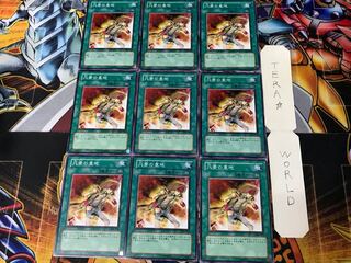 Heart of the Underdog 306 3 Normal 9-card set Tera