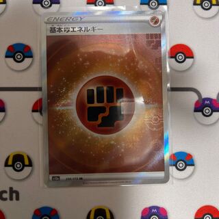 基本闘エネルギー SR 256/172 やなぎ様専用