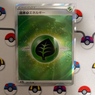 基本草エネルギー SR 251/172やなぎ様専用