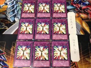 ソーラーレイ 308 2 ノーマル 9枚セット てら