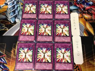 ソーラーレイ 308 3 ノーマル 9枚セット てら