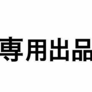 ライチュウV セット