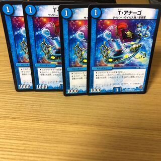 T・アナーゴ、マリンフラワー