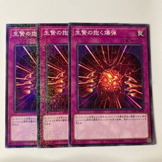 9650 生贄の抱く爆弾 ミレニアム JP048