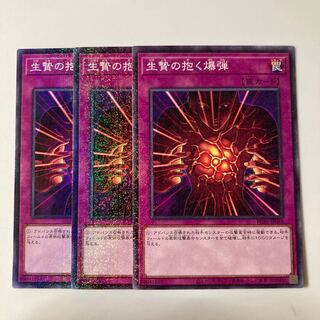 9651 生贄の抱く爆弾 ミレニアム JP048