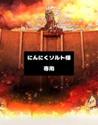 【にんにくソルト様】専用