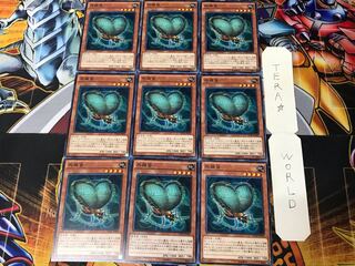 Resonance Insect DUEA 3 Normal, set of 9 Tera.