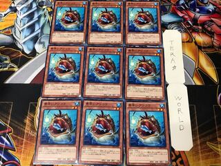 Nimble Angler ABYR 5 Normal Set of 9 Tera