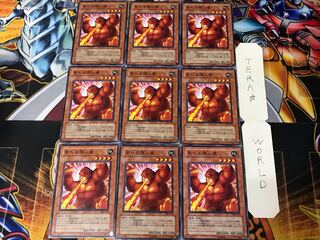 怒れる類人猿 306 1 ノーマル 9枚セット てら