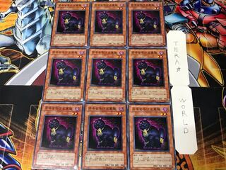 不幸を告げる黒猫 301 2 ノーマル 9枚セット てら