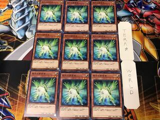 Herald of Green Light SR05 1 Normal, set of 9 Tera