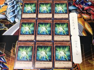 Herald of Green Light SR05 2 Normal, set of 9 Tera.