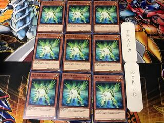 Herald of Green Light SR05 3 Normal 9-card set Tera