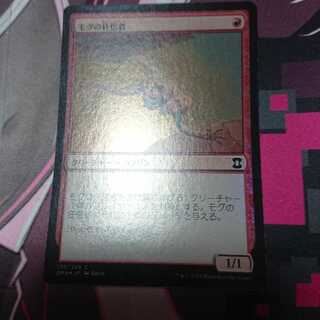 foil モグの狂信者