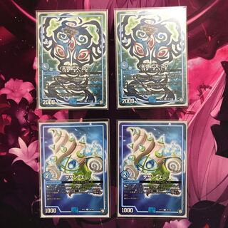 天啓 サザンエー セット