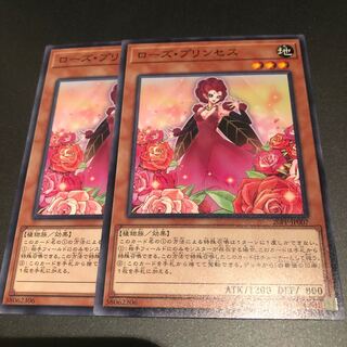 ローズプリンセス2枚