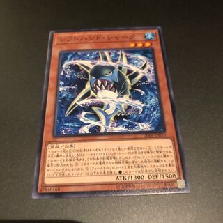 レフトハンドシャーク