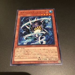 ライトハンドシャーク