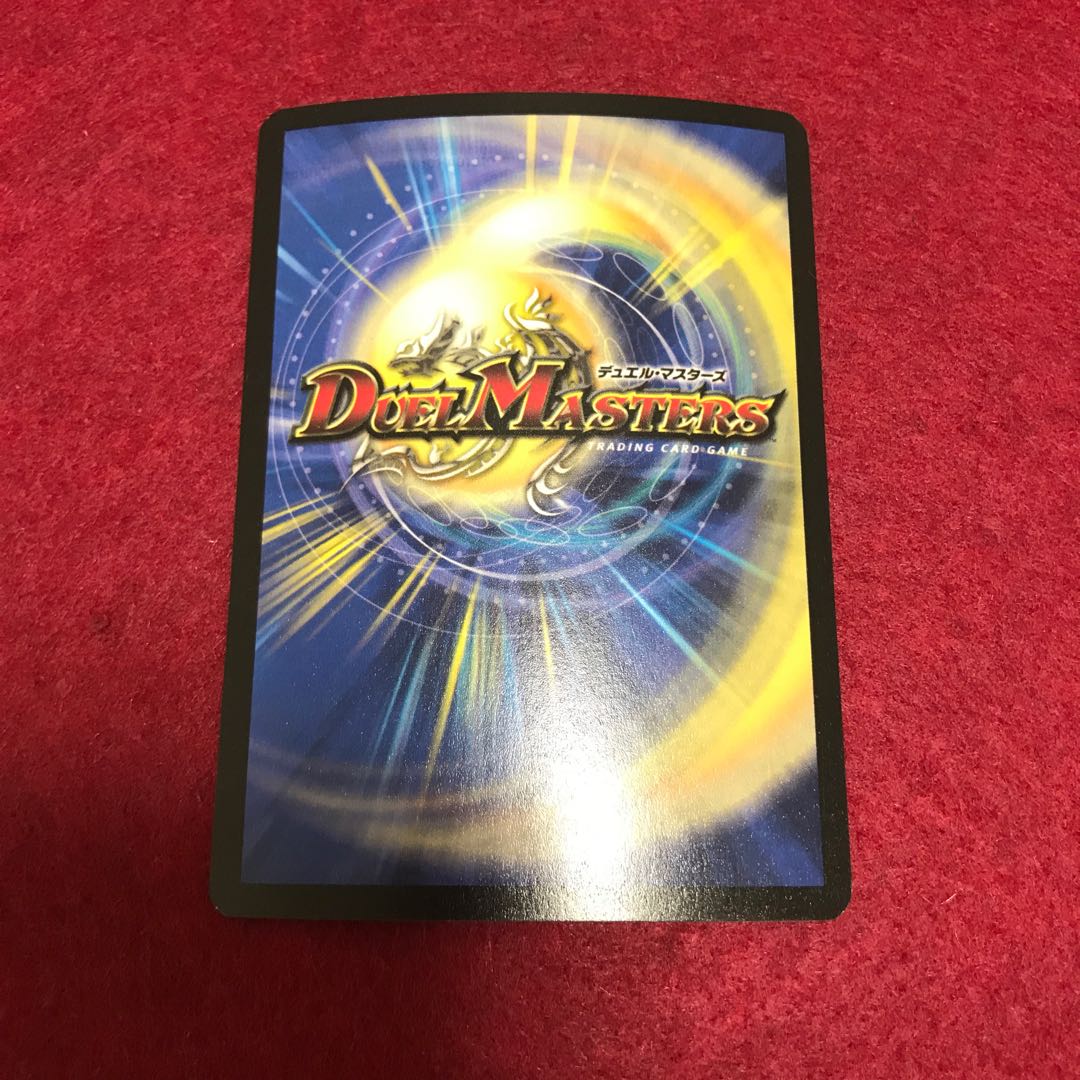 専用 ボルザードドラゴン