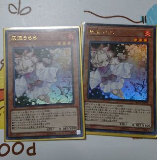 （条件割引有）灰流うらら