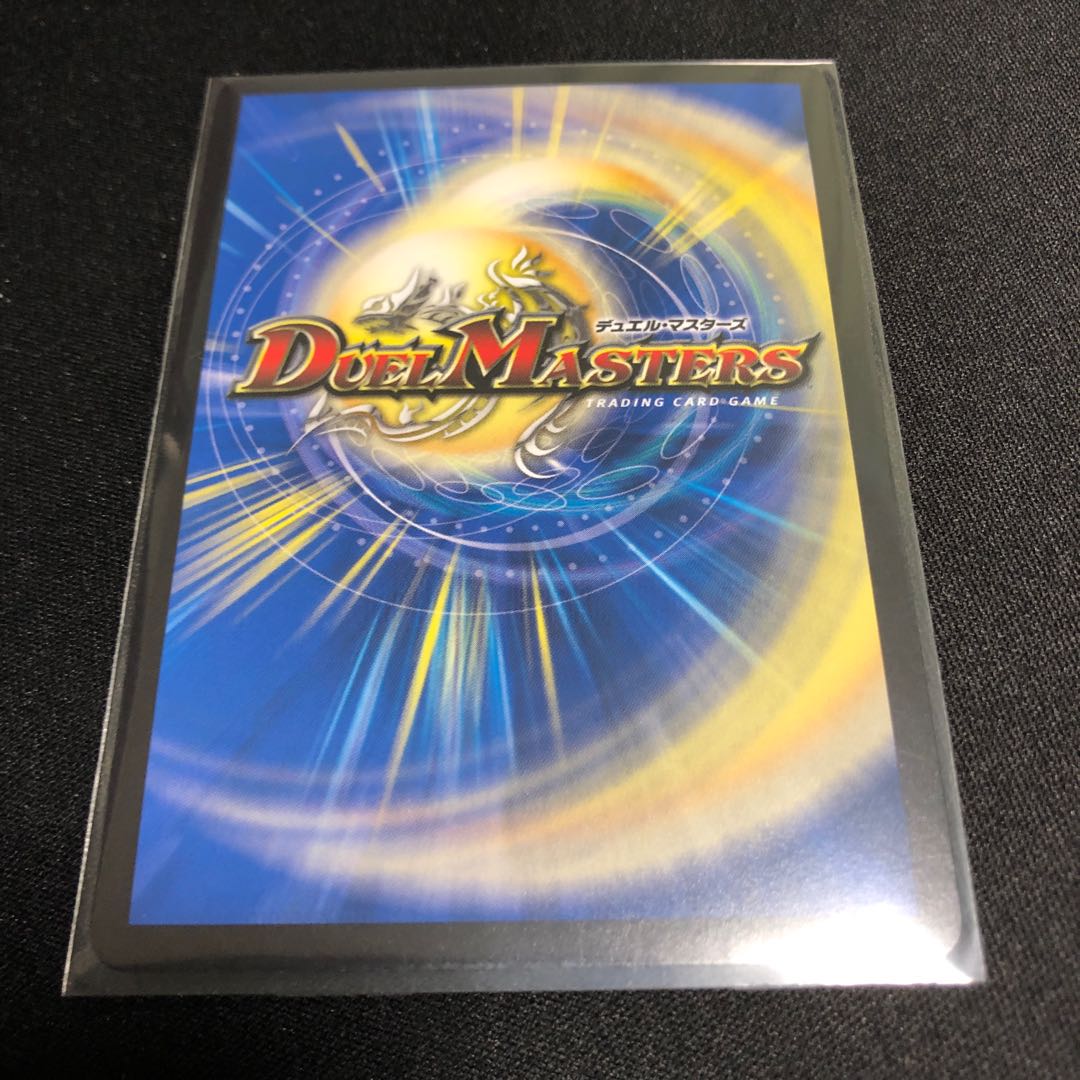 天命龍装　エンド/ナウ・オア・ネバー　シク