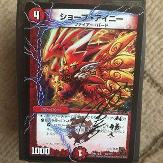 ショーブ・アイニー