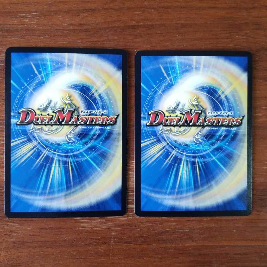 バルガドライバー 2枚