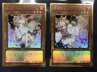 灰流うらら(新旧2枚セット)プレミアムゴールドレア