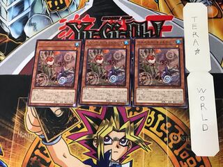 Floowandereeze & Robina 1 rare set of 3 tera