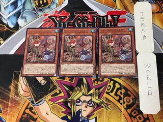 Floowandereeze & Robina 3 rare, set of 3 Tera.