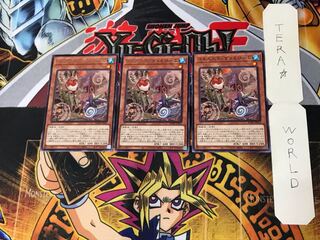 Floowandereeze & Robina 4 Rare set of 3 Tera.