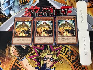 Majesty's Fiend 3 Rare Set of 3 Tera.