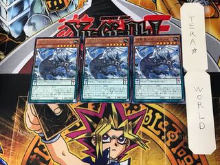 Secret Dragon Star - Sephira Ciugo 5 rare, set of 3 Tera.