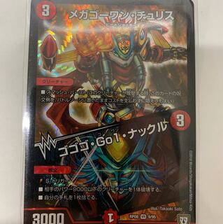 ライオン様専用 1枚