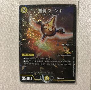 音奏プーンギ　CSP