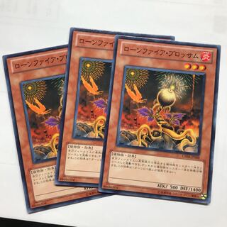 ローンファイアブロッサム