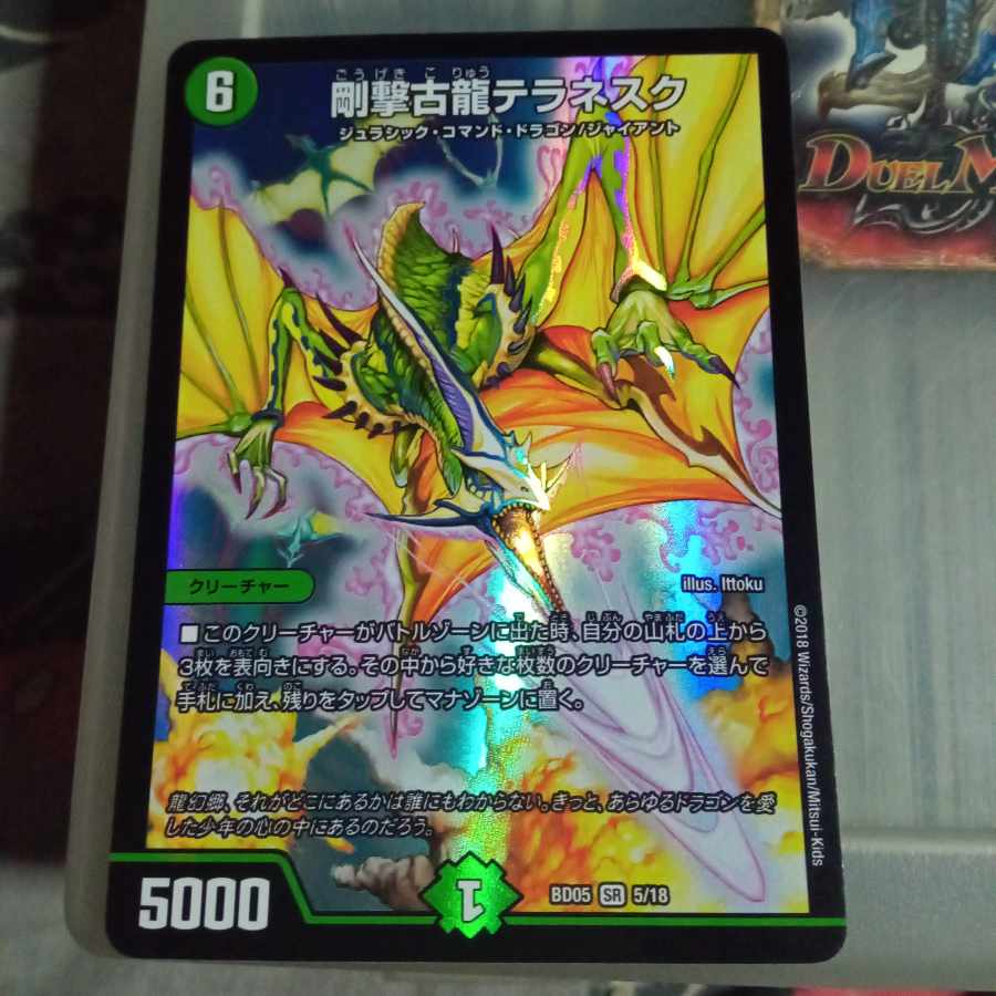 Discounted set Terranescu SR 5/18