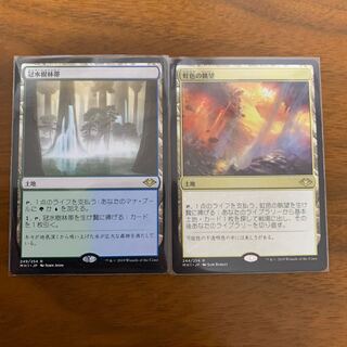 虹色の眺望 冠水樹林帯