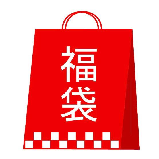 Ad fixed] PSA10 Female SR fixed Fukubukuro [12th].