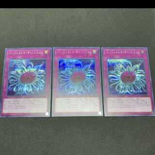 バージェストマ・ディノミスクス