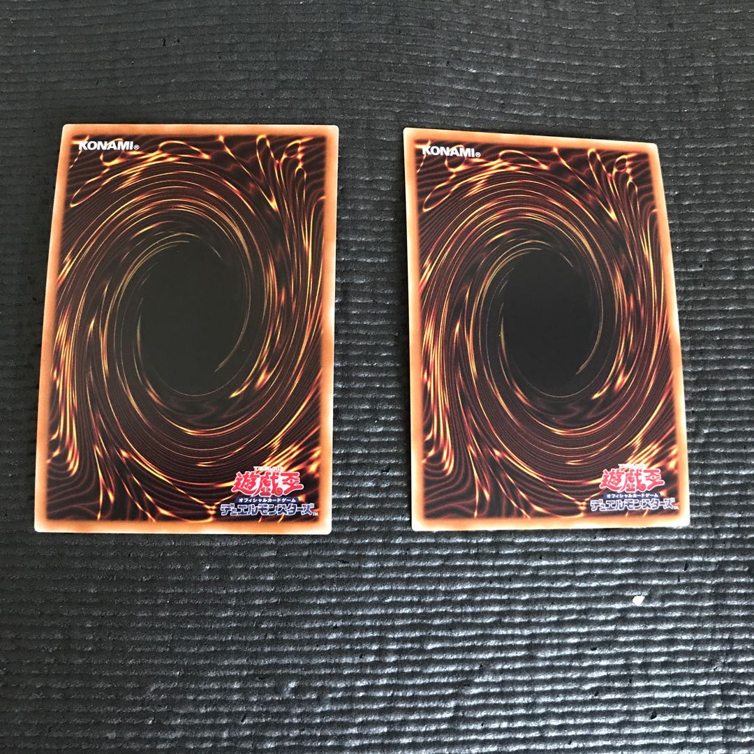 混源龍レヴィオニア