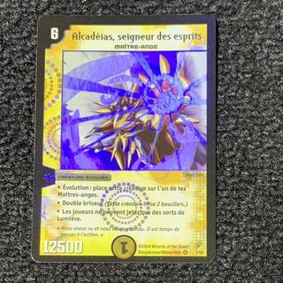 フランス版 聖霊王アルカディアス 開封後保管