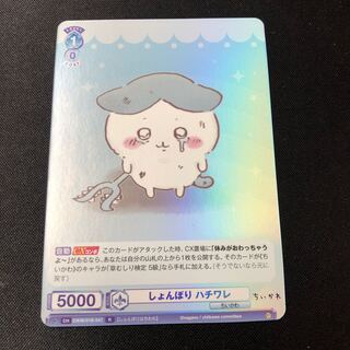 しょんぼりハチワレ R