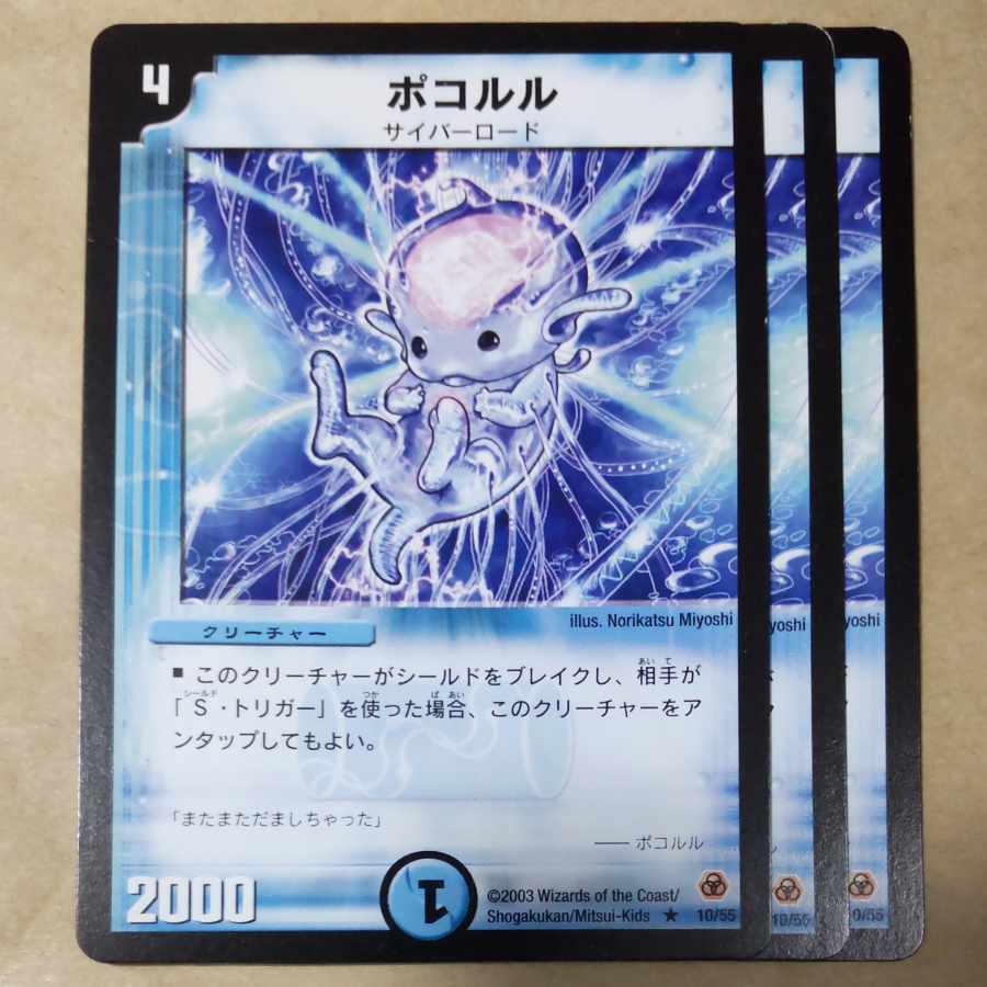 ポコルル　３枚 1枚