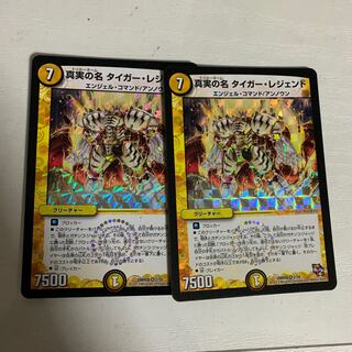 真実の名タイガーレジェンド