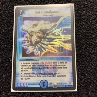 キングアクアカムイ フランス版