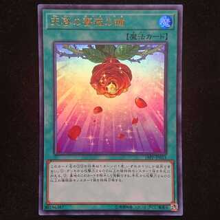 遊戯王 天啓の薔薇の鐘 ウルトラ