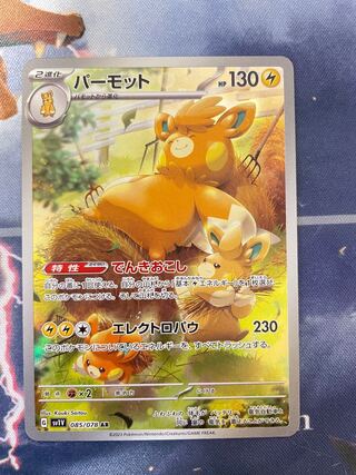 パーモット AR 085/078 1枚