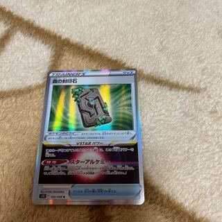 森の封印石 R 092/098